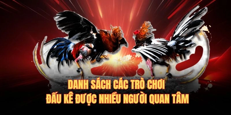 Danh sách các trò chơi đấu kê được nhiều người quan tâm