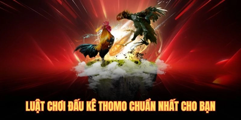 Luật chơi đấu kê thomo chuẩn nhất cho bạn