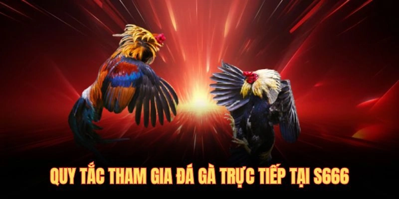 Quy tắc tham gia đá gà trực tiếp tại S666
