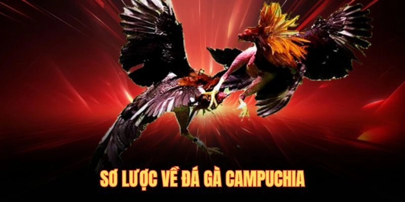 Sơ lược về đá gà campuchia